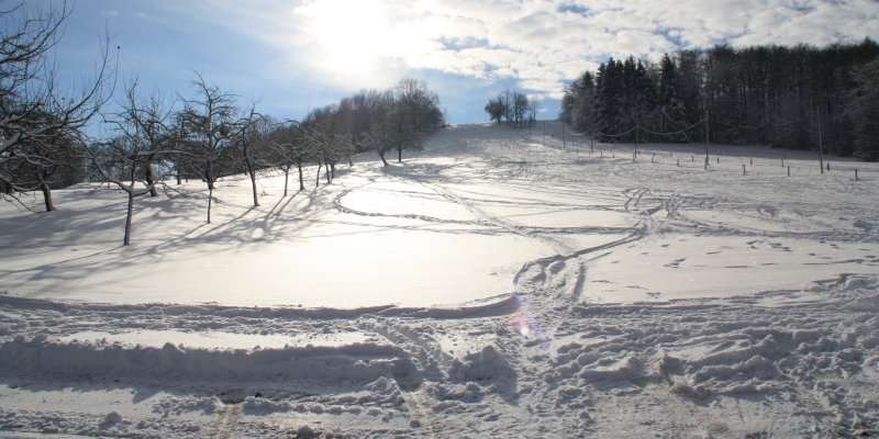 Schneelandschaft