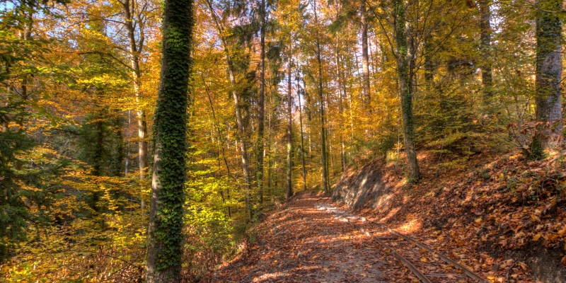 Wandern in Spiegelberg